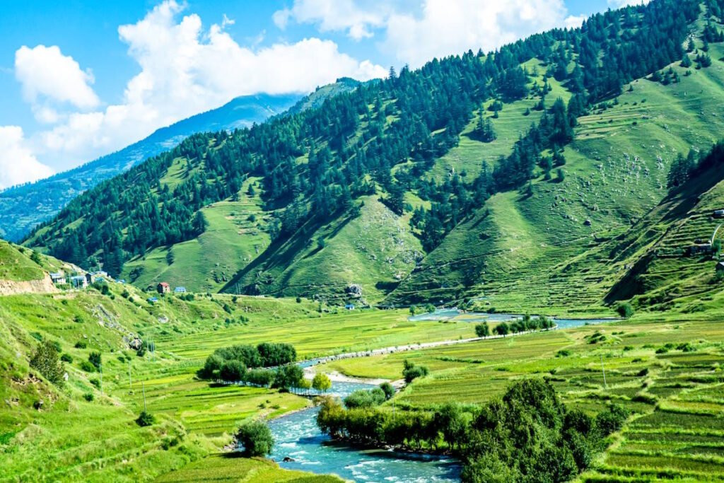 kashmir